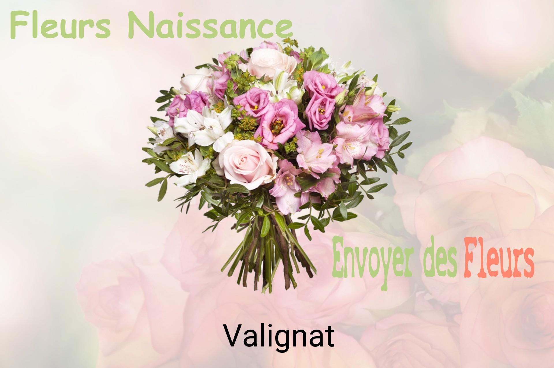 Bouquet de fleurs de naissance livré à Valignat